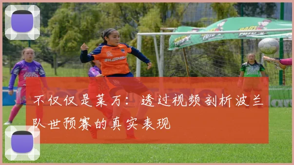 不仅仅是莱万：透过视频剖析波兰队世预赛的真实表现